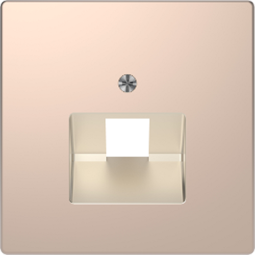 Лицевая панель Schneider Electric Merten D-Life для 1-м. розетки RJ45 шампань фото Лицевая панель Schneider Electric Merten D-Life для 1-м. розетки RJ45 шампань картинка